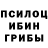 Псилоцибиновые грибы прущие грибы Jacob Saylor